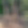 Я Алекс, 27, знакомлюсь для без обязательств в Одессе