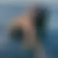 Я Віка, 32, знакомлюсь для дружбы в Ивано-Франковске