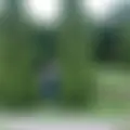 Я Таисия, 62, из Минска, ищу знакомство для дружбы