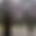 Я Kai, 25, знакомлюсь без обязательств в Нью-йорке