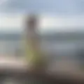Я Елена, 43, знакомлюсь для постоянных отношений в Ярославле