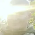 Максим из Каменского, ищу на сайте дружбу