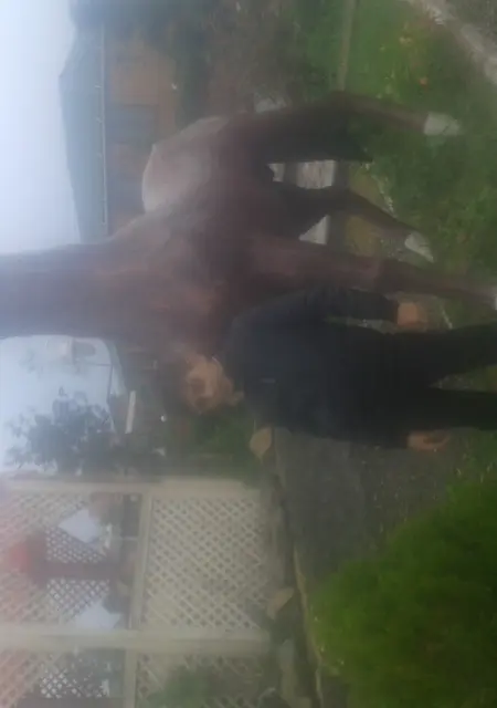 Я Rantiq, 52 років, знайомлюсь для спілкування у Прилуках