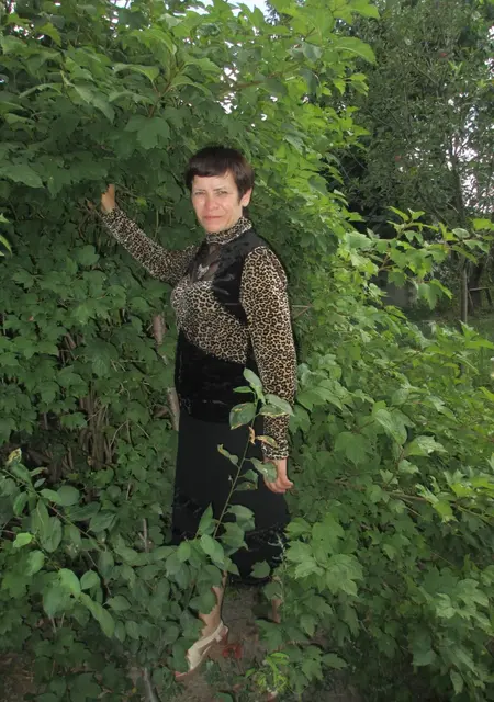 Елена из Чернигова, ищу на сайте знакомства на одну ночь