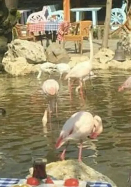 Я Dilay, 28, знакомлюсь в Стамбуле