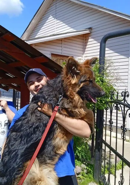 Я Maksim, 35, знакомлюсь на одну ночь в Полоцке