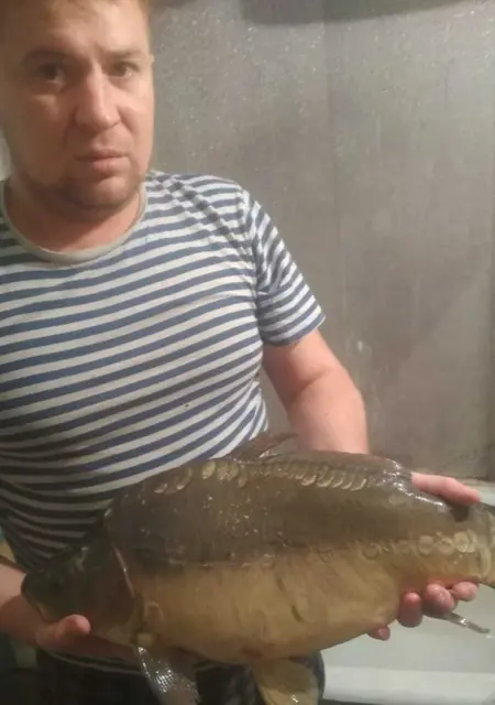 Вася из Столина, ищу на сайте дружбу