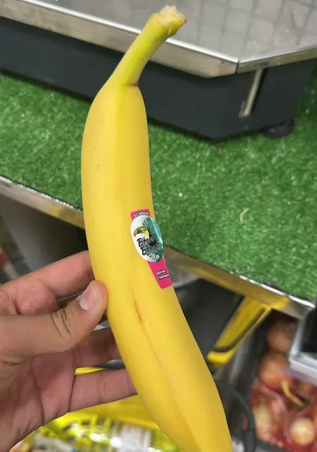 Jack из Бишкека, мне 25, познакомлюсь для открытые отношения