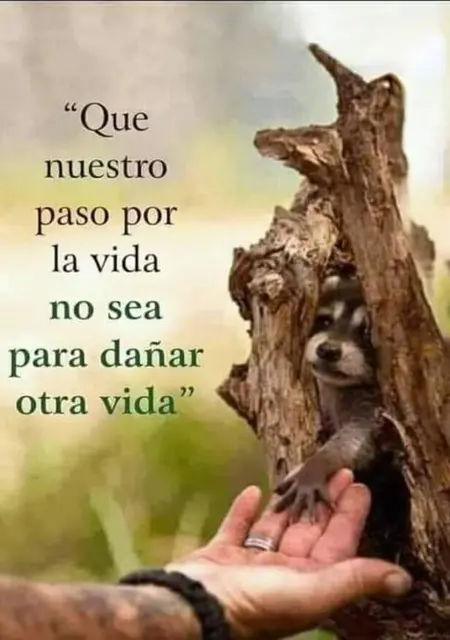 Ricardo из Мадрида