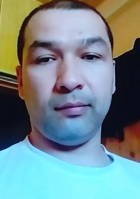 Amir