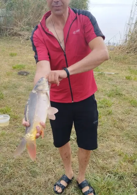 Я Саша, 42, из Снежного, ищу знакомство для дружбы