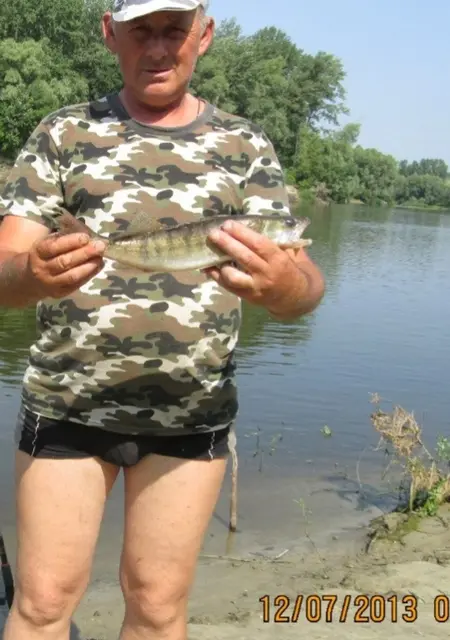 Я Анатолій, 63, знакомлюсь для открытые отношения в Чернигове