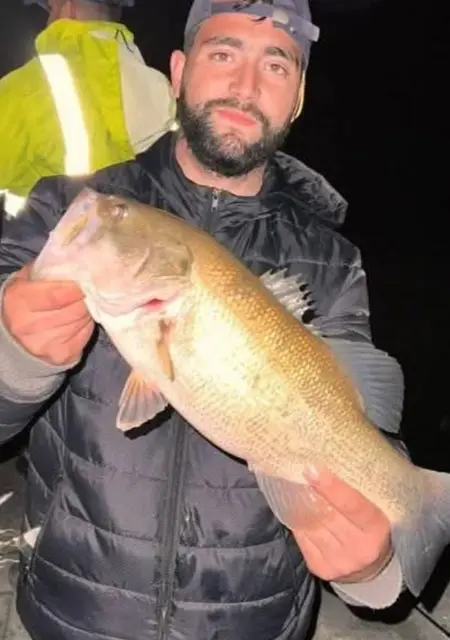 Я Lokofestival, 26, знакомлюсь для общения в Утьель