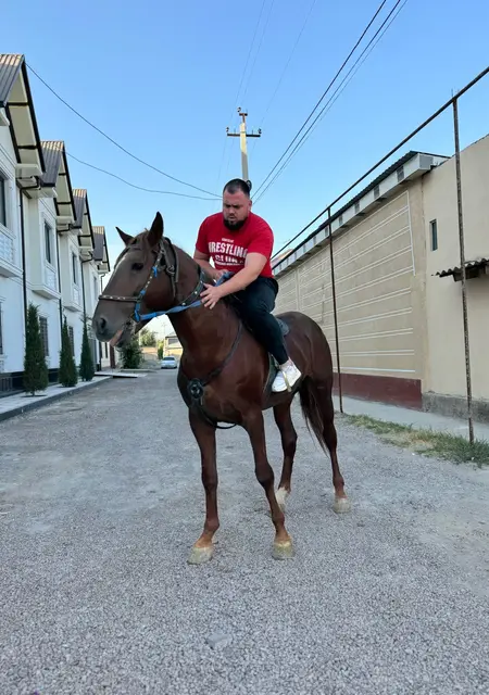 Никос из Ташкента, мне 25, познакомлюсь без обязательств