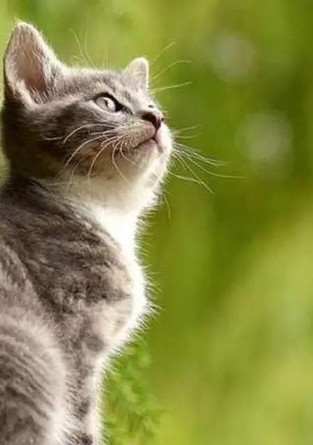 Я Jarek, 36, из Варшавы, ищу знакомство