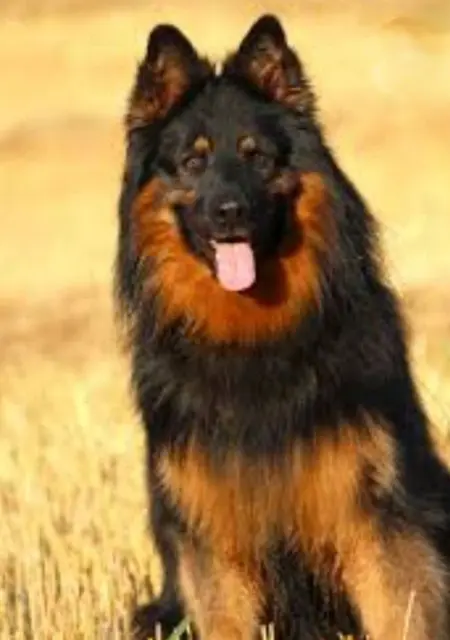 Jana из Праги, мне 27, познакомлюсь