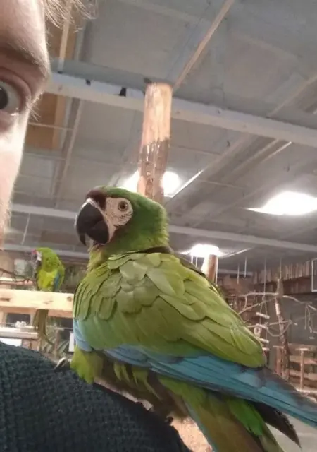 Я Pawe, 29, знакомлюсь в Варшаве