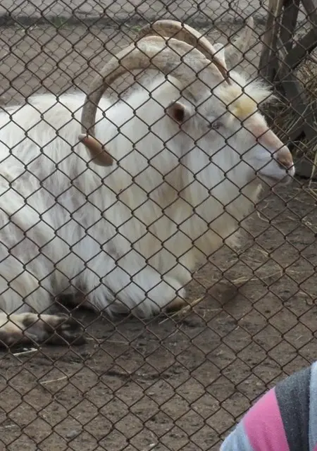 Коля из Витебска, мне 40, познакомлюсь на одну ночь