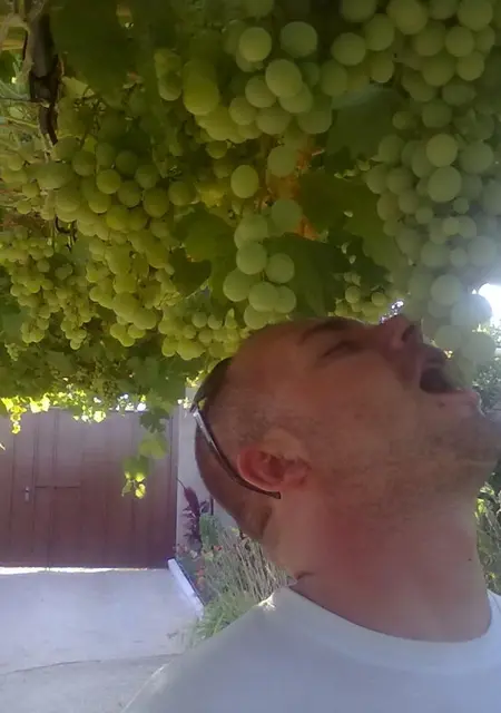 Я Дима, 39, знакомлюсь на одну ночь в Могилёве