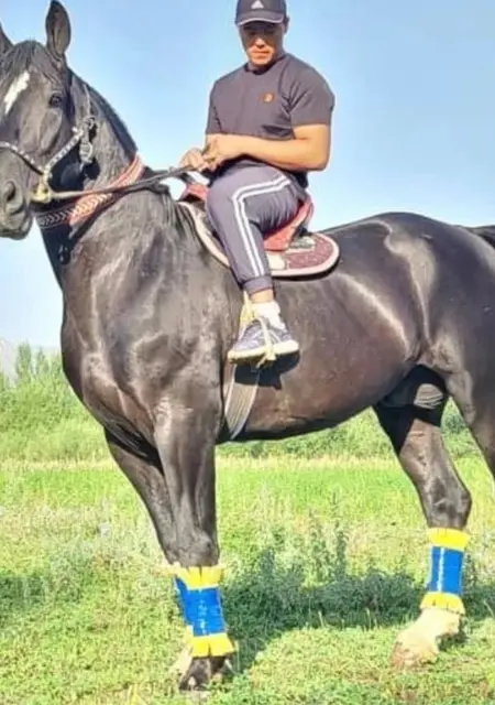 Я Rus, 37, из Астаны, ищу знакомства без обязательств