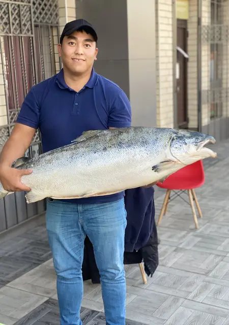 Абылайхан из Шымкента, мне 30, познакомлюсь на одну ночь