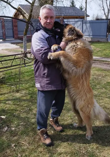Я Игорь, 59, из Минска, ищу знакомства на одну ночь