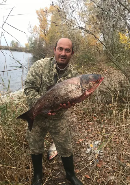 Я Рома, 49, знакомлюсь без обязательств в Запорожье