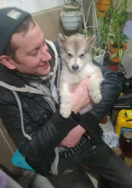 Я Дмитрий, 43 років з Маріуполя, шукаю знайомства без зобов'язань