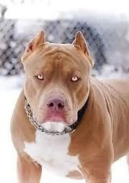 Я Kevin, 42, из Берлина, ищу знакомство для дружбы