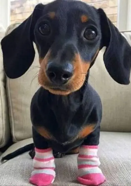 Я Ula, 41, из Варшавы, ищу знакомство