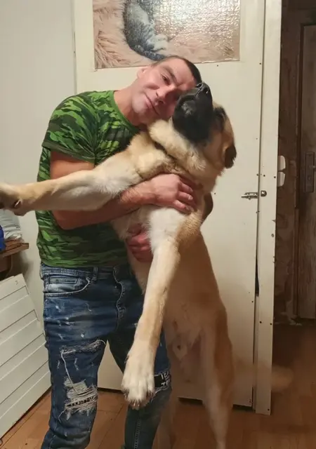 Денис из Кишинёва, ищу на сайте вирта