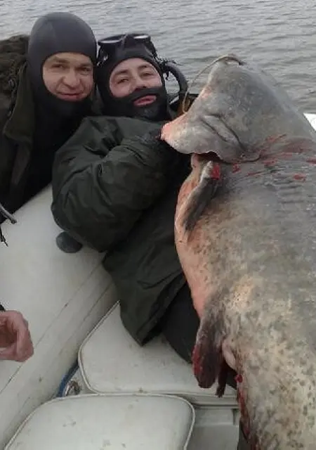 Егор из Сум, мне 54, познакомлюсь на одну ночь