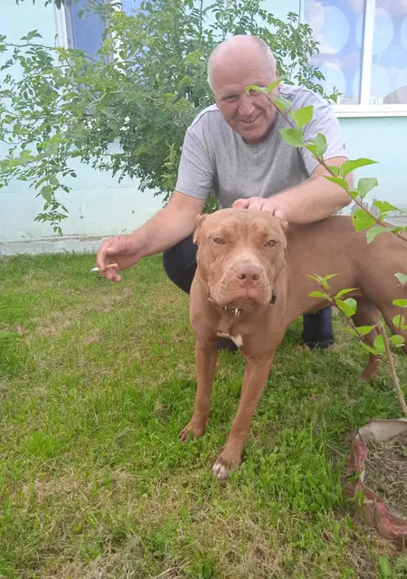 Виталий из Минска, мне 50, познакомлюсь для дружбы