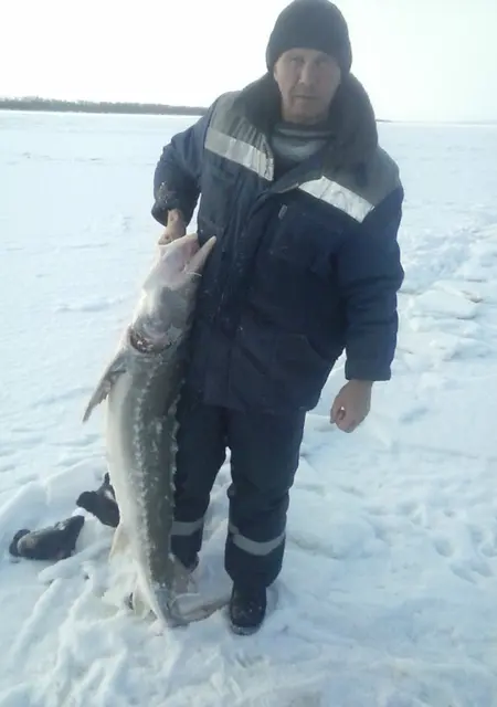 Я Роман, 50, знакомлюсь для общения в Донецке