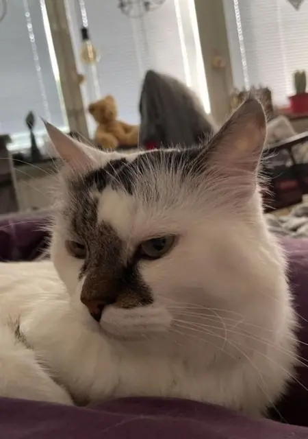 Я Anna-Maria, 44, знакомлюсь в Стокгольме