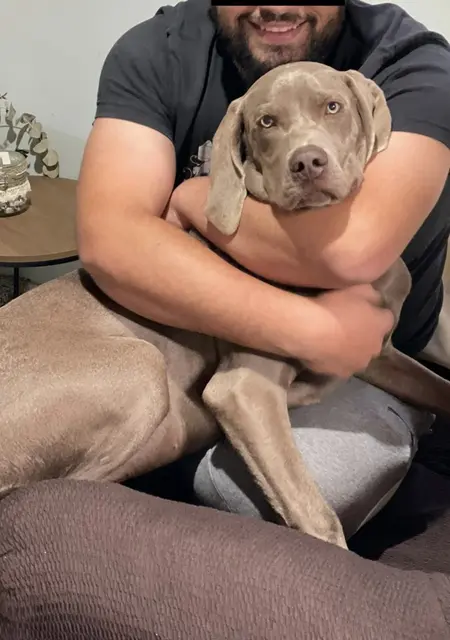 Я Tiago, 33, знакомлюсь для приятного времяпровождения в Виге