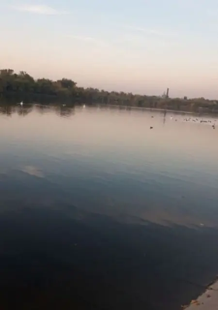 Flory из Бухареста