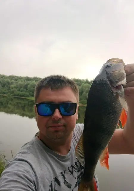 Я Vitalij, 40, знакомлюсь для приятного времяпровождения в Чернигове