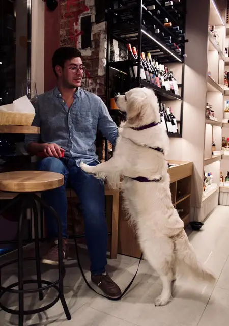 Dimitry из Висбадена, ищу на сайте знакомства на одну ночь