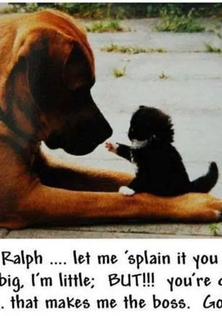 Dario из Афин, ищу на сайте приятное времяпровождение