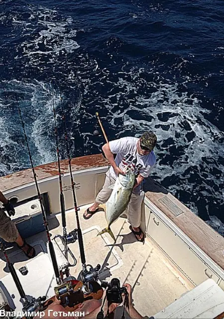 Владимир из Днепра, ищу на сайте приятное времяпровождение