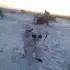 Bake из Астаны, ищу на сайте знакомства на одну ночь