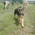 Blackangel из Бухареста