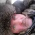 Я Leonud, 50, из Кобрина, ищу знакомство для секса на одну ночь