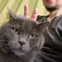 Я Petya, 35, знакомлюсь для секса на одну ночь в Хайльбронн