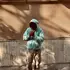 Antonio из Скандиччи, ищу на сайте знакомства на одну ночь