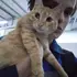 Я Даша, 25, знакомлюсь для постоянных отношений в Барановичах