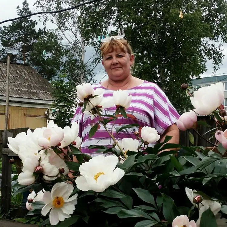 Я Lydmila, 58, из Благовещенска, ищу знакомство для регулярного секса