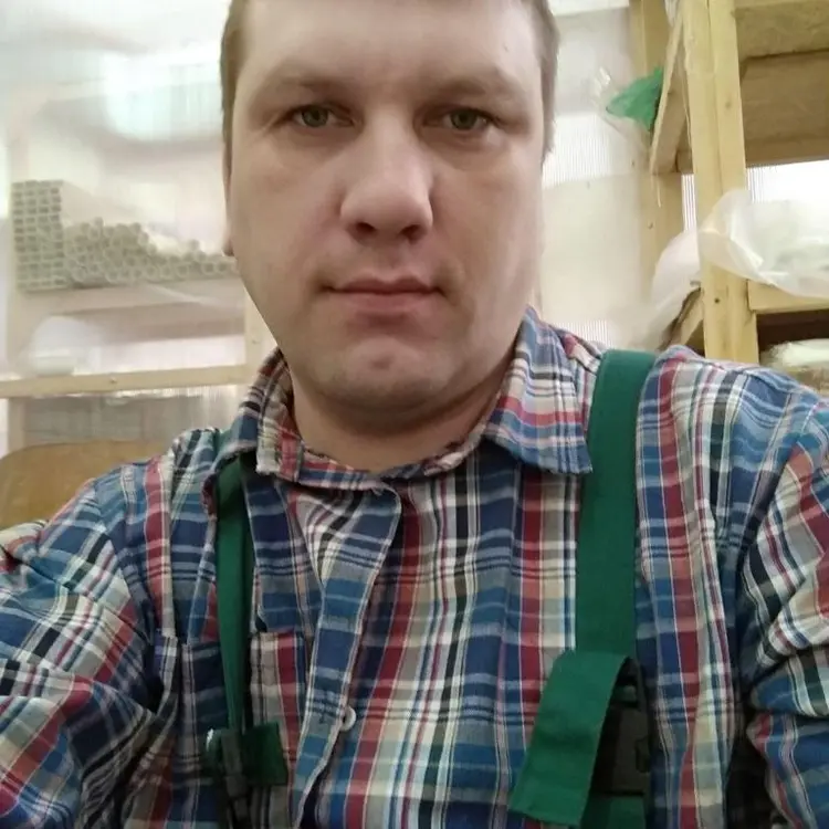 Андрей из Сергиева Посада, мне 39, познакомлюсь для дружбы